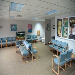 Wonderful Pediatrician Office Bright Sight Room Blue Marine Chair - Karbonix