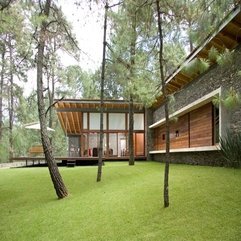 Best Inspirations : Yard With Trees Planted In Back Home Yard In Green - Karbonix